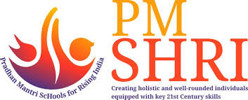 PM SHRI GOVERNMENT HIGH SCHOOL VADDEM CURDI